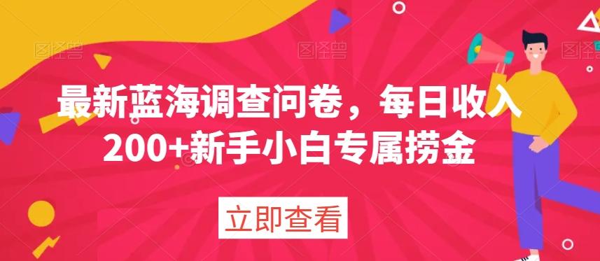 最新蓝海调查问卷，每日收入200+新手小白专属捞金 - 小毅网创-小毅网创