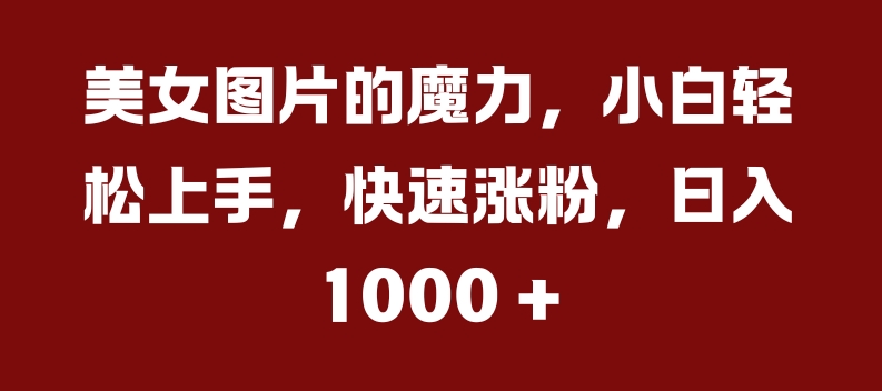 美女图片的魔力，小白轻松上手，快速涨粉，日入几张【揭秘】 - 小毅网创-小毅网创
