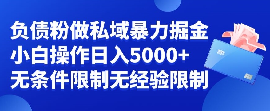 负债粉私域暴力掘金，小白操作入5000，无经验限制，无条件限制【揭秘】 - 小毅网创-小毅网创