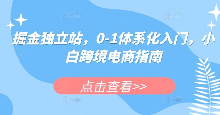 掘金独立站，0-1体系化入门，小白跨境电商指南 - 小毅网创-小毅网创