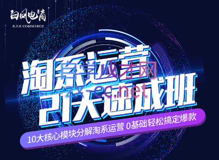 淘系运营21天速成班(更新24年5月) - 小毅网创-小毅网创
