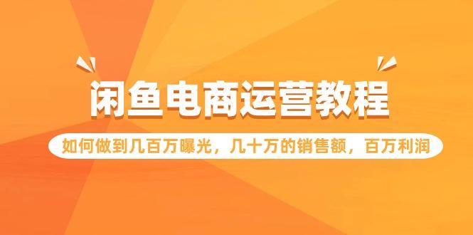 (9560期)闲鱼电商运营教程：如何做到几百万曝光，几十万的销售额，百万利润 - 小毅网创-小毅网创