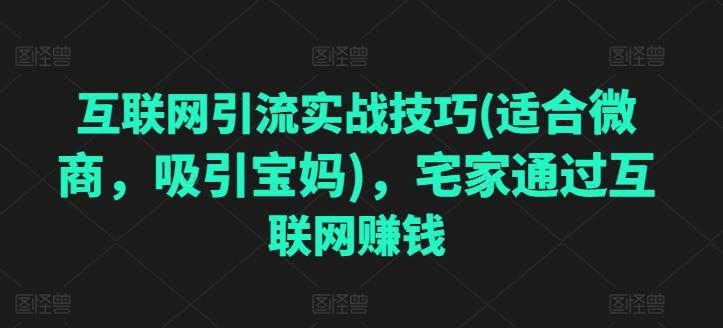 互联网引流实战技巧(适合微商，吸引宝妈)，宅家通过互联网赚钱 - 小毅网创-小毅网创