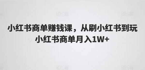 小红书商单赚钱课，从刷小红书到玩小红书商单月入1W+ - 小毅网创-小毅网创