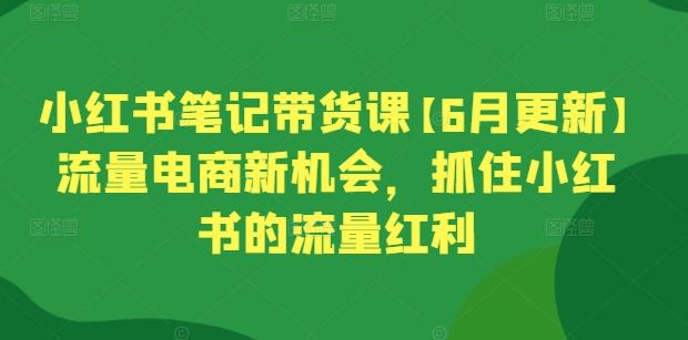 小红书笔记带货课【6月更新】流量电商新机会，抓住小红书的流量红利 - 小毅网创-小毅网创