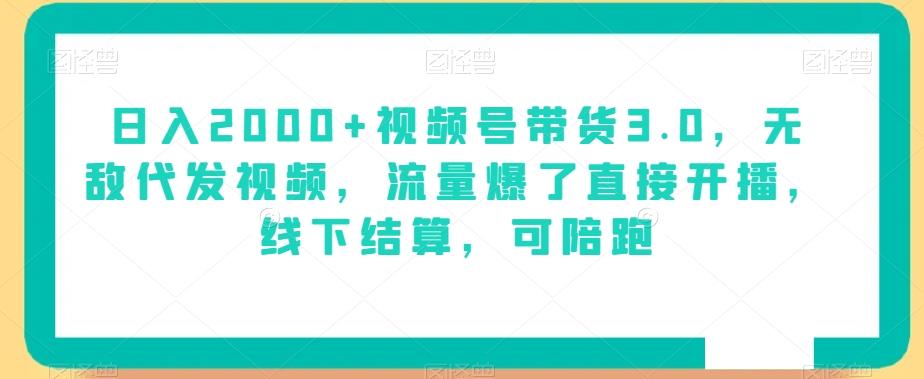 日入2000+视频号带货3.0，无敌代发视频，流量爆了直接开播，线下结算，可陪跑 - 小毅网创-小毅网创