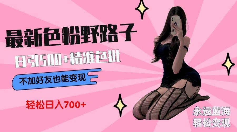 最新色粉变现野路子，日引500+老色批 可不加好友直接变现 小白轻松日入700+ - 小毅网创-小毅网创