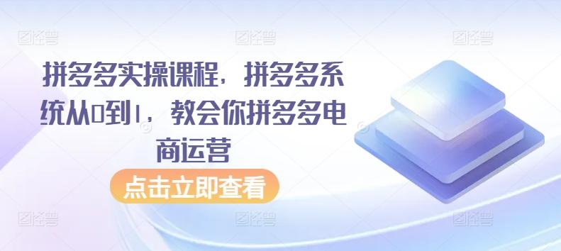 拼多多实操课程，拼多多系统从0到1，教会你拼多多电商运营 - 小毅网创-小毅网创