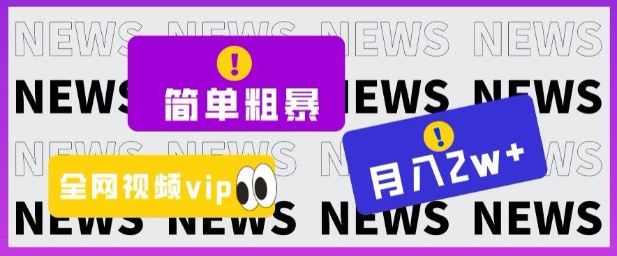 简单粗暴零成本，高回报，全网视频VIP掘金项目，月入2万＋【揭秘】 - 小毅网创-小毅网创