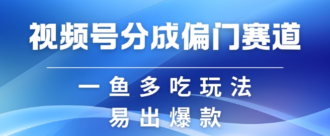 视频号创作者分成计划偏门类目，容易爆流，实拍内容简单易做【揭秘】 - 小毅网创-小毅网创