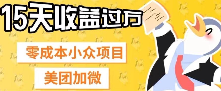 零成本小众项目，美团加微，一单4.5+，15天已经有人赚上万收益 - 小毅网创-小毅网创