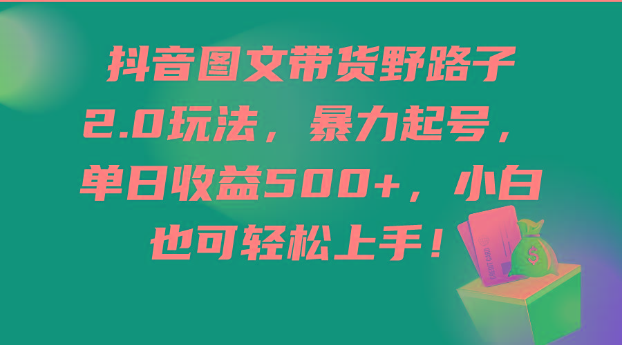 (9790期)抖音图文带货野路子2.0玩法，暴力起号，单日收益500+，小白也可轻松上手！ - 小毅网创-小毅网创