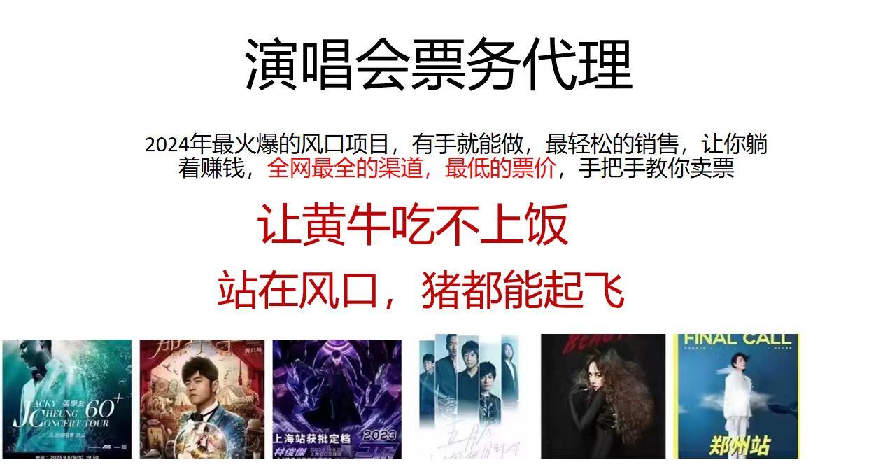 2024演唱会低价票务代理，全网最低的票价，手把手教你卖票，日入2000+ - 小毅网创-小毅网创