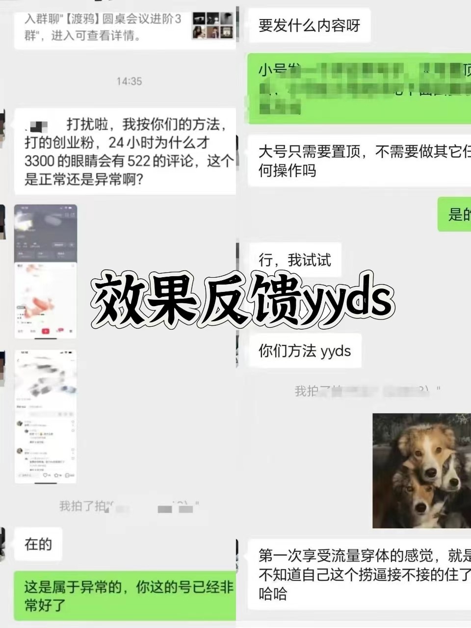 图片[3]-抖音小红书视频号全平台引流打法，全自动引流日引2000+精准客户 - 小毅网创-小毅网创