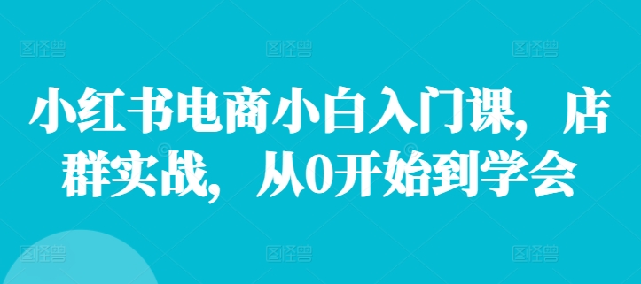 小红书电商小白入门课，店群实战，从0开始到学会 - 小毅网创-小毅网创