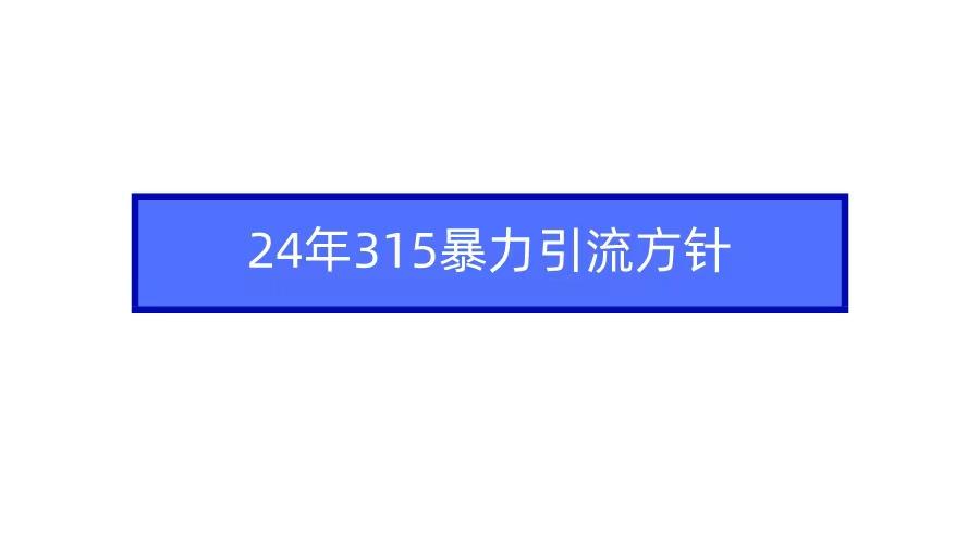 (9398期)2024年315暴力引流方针 - 小毅网创-小毅网创
