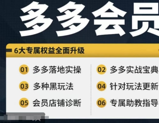 拼多多会员，拼多多实战宝典+实战落地实操，从新手到高阶内容全面覆盖 - 小毅网创-小毅网创