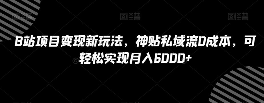 B站项目变现新玩法，神贴私域流0成本，可轻松实现月入6000+【揭秘】 - 小毅网创-小毅网创