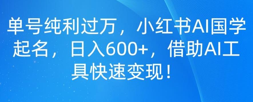 单号纯利过万，小红书AI国学起名，日入600+，借助AI工具快速变现 - 小毅网创-小毅网创