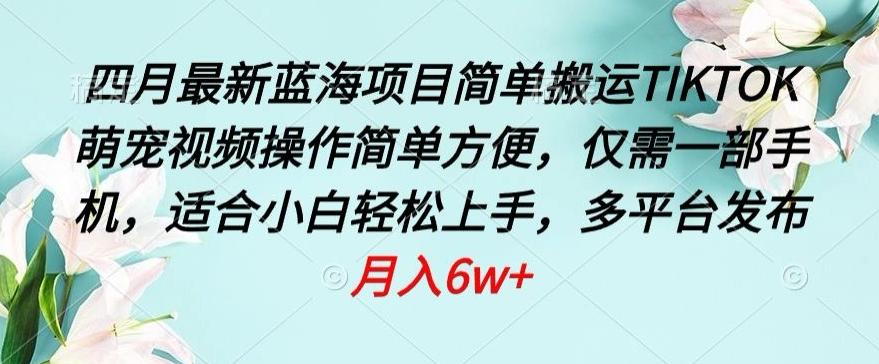 四月最新蓝海项目，简单搬运TIKTOK萌宠视频，操作简单方便，仅需一部手机【揭秘】 - 小毅网创-小毅网创