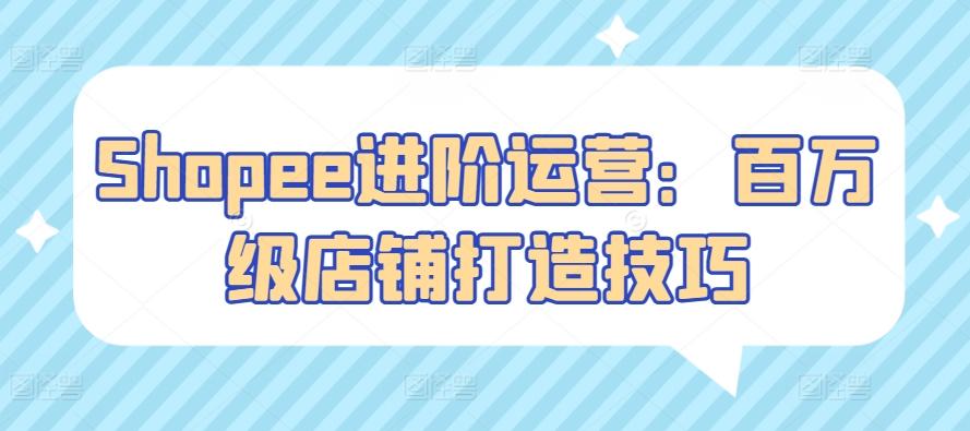 Shopee进阶运营：百万级店铺打造技巧 - 小毅网创-小毅网创