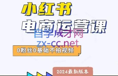 达哥·小红书电商运营(2024版) - 小毅网创-小毅网创