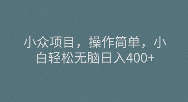 小众项目，操作简单，小白轻松无脑日入400+ - 小毅网创-小毅网创