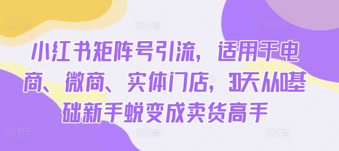 小红书矩阵号引流，适用于电商、微商、实体门店，30天从0基础新手蜕变成卖货高手 - 小毅网创-小毅网创