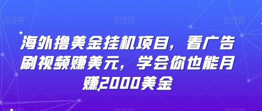 海外撸美金挂机项目，看广告刷视频赚美元，学会你也能月赚2000美金 - 小毅网创-小毅网创