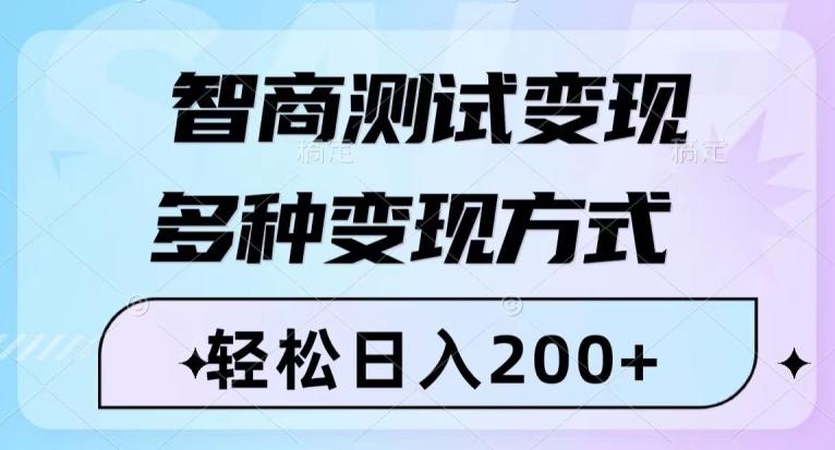 智商测试变现，轻松日入200+，几分钟一个视频，多种变现方式 - 小毅网创-小毅网创