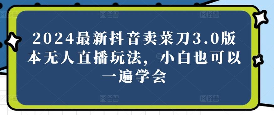 2024最新抖音卖菜刀3.0版本无人直播玩法，小白也可以一遍学会【揭秘】 - 小毅网创-小毅网创
