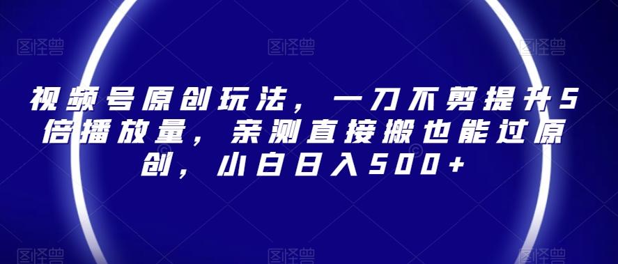 视频号原创玩法，一刀不剪提升5倍播放量，亲测直接搬也能过原创，小白日入500+【揭秘】 - 小毅网创-小毅网创