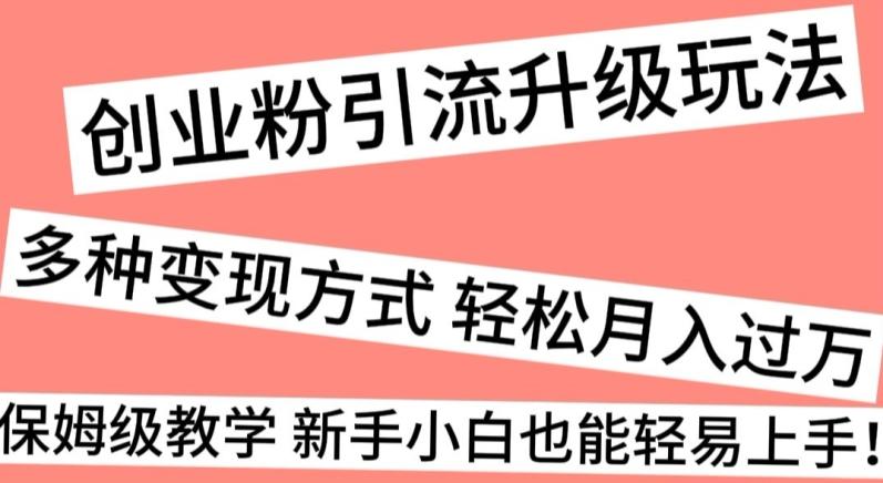 创业粉引流升级玩法，多种变现方式轻松月入过万，保姆级教学新手小白也能轻易上手！ - 小毅网创-小毅网创
