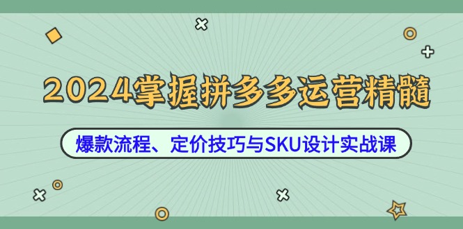 2024掌握拼多多运营精髓：爆款流程、定价技巧与SKU设计实战课 - 小毅网创-小毅网创