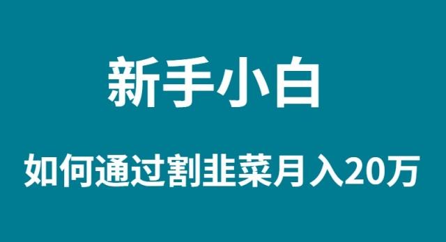 (9308期)新手小白如何通过割韭菜月入 20W - 小毅网创-小毅网创