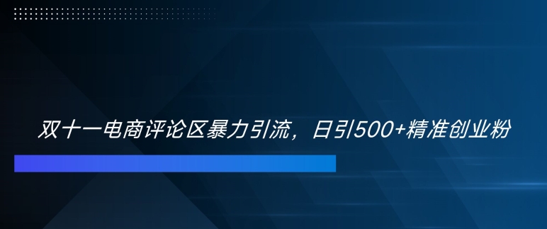 双十一电商评论区暴力引流，日引500+精准创业粉【揭秘】 - 小毅网创-小毅网创