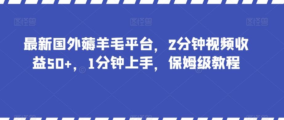 最新国外薅羊毛平台，2分钟视频收益50+，1分钟上手，保姆级教程【揭秘】 - 小毅网创-小毅网创