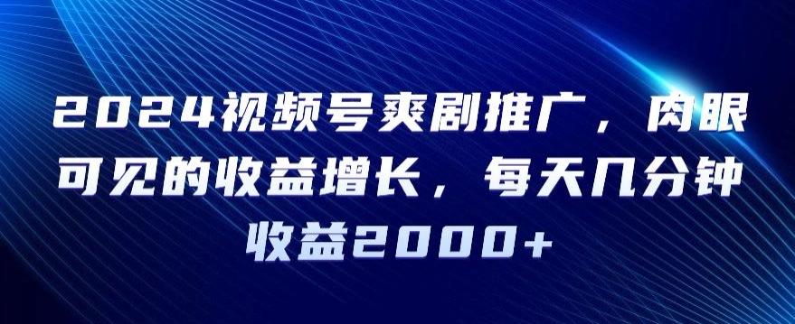 2024视频号爽剧推广，肉眼可见的收益增长，每天几分钟收益2000+【揭秘】 - 小毅网创-小毅网创