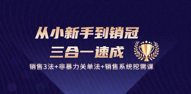 从小新手到销冠 三合一速成：销售3法+非暴力关单法+销售系统挖需课 (27节 - 小毅网创-小毅网创