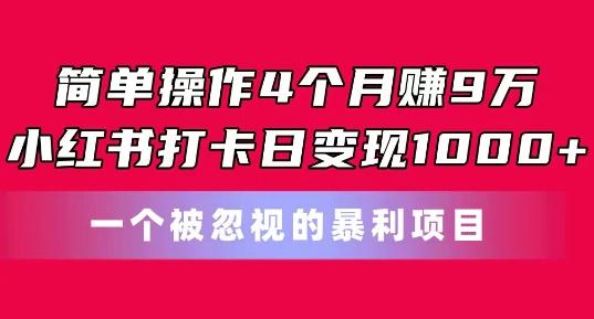 简单操作4个月赚9w，小红书打卡日变现1k，一个被忽视的暴力项目【揭秘】 - 小毅网创-小毅网创