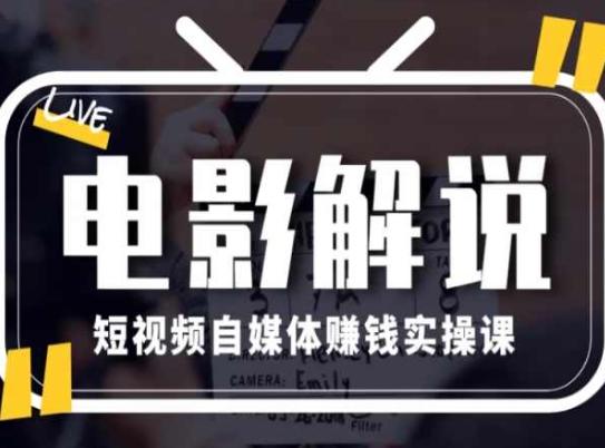 电影解说短视频自媒体赚钱实操课，教你做电影解说短视频，月赚1万 - 小毅网创-小毅网创