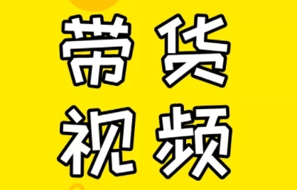 芒果老师·教你做抖音短视频和直播带货 - 小毅网创-小毅网创