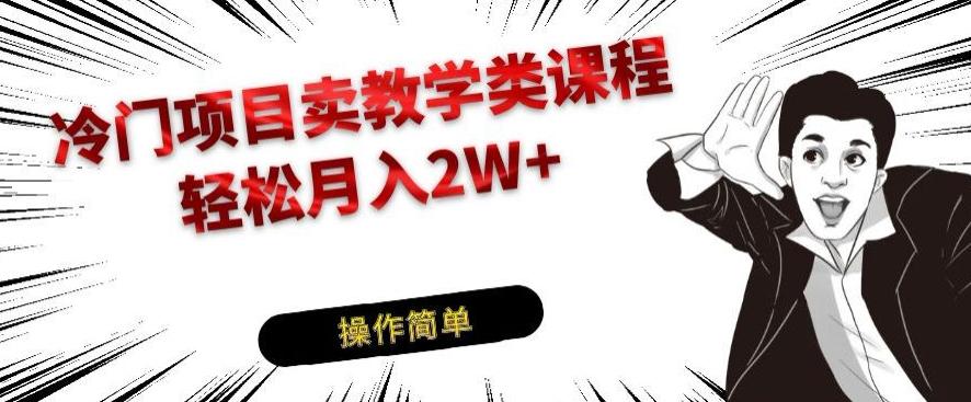 冷门项目卖教学类课程，轻松月入2W+ - 小毅网创-小毅网创