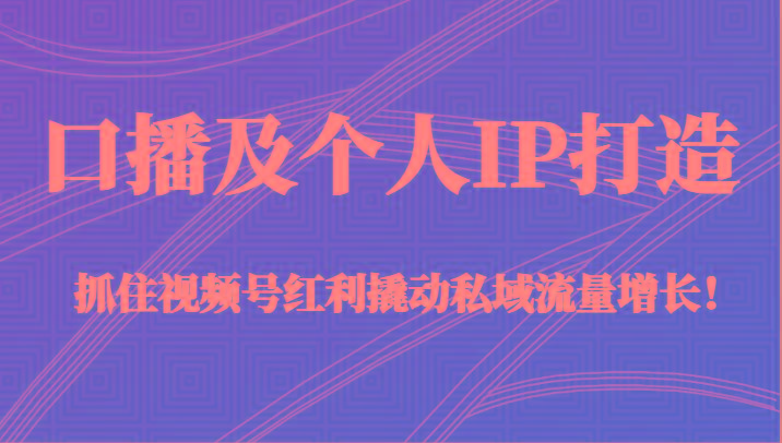 口播及个人IP打造，抓住视频号红利撬动私域流量增长！（45节课） - 小毅网创-小毅网创
