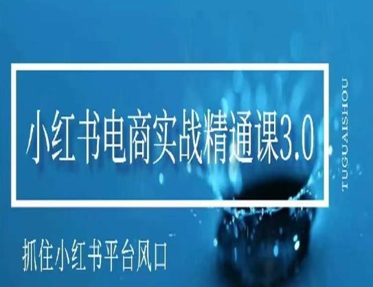 小红书电商实战精通课3.0，抓住小红书平台的风口，不错过有一个赚钱的机会 - 小毅网创-小毅网创