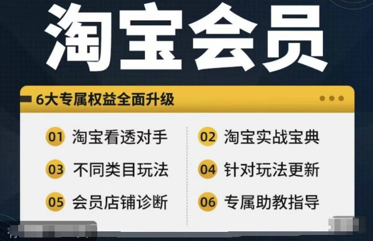 淘宝会员【淘宝所有课程，全面分析对手】，初级到高手全系实战宝典 - 小毅网创-小毅网创