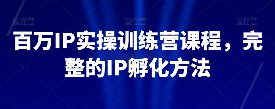 百万IP实操训练营课程，完整的IP孵化方法 - 小毅网创-小毅网创