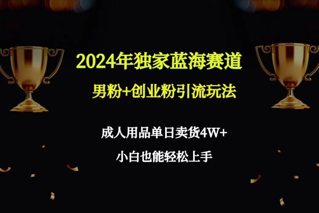 2024年独家蓝海赛道男粉+创业粉引流玩法，成人用品单日卖货4W+保姆教程 - 小毅网创-小毅网创