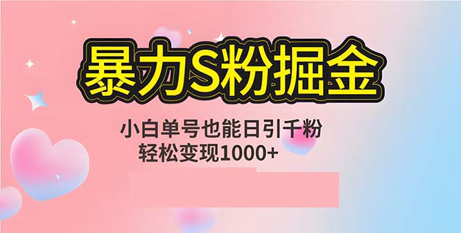 单人单机日引千粉，变现1000+，S粉流量掘金计划攻略 - 小毅网创-小毅网创
