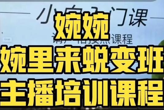 婉婉·婉里来蜕变班（主播课）全方位理解底层逻辑并灵活运用 - 小毅网创-小毅网创